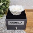 Everlasting White Rose Valentines Day Jewellery Gift Box