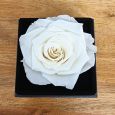 Valentines Day White Rose Jewellery Gift Box