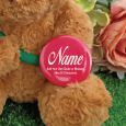 Anniversary Bear with Pink Rose & Badge