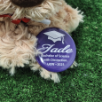 Graduation Dog Plush with Personalised Badge