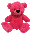 Teddy Bear 40cm Hot Pink Plush