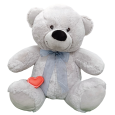 Grey Voice Recordable Teddy Bear 40cm with Zip