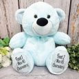 Personalised Flower Girl Teddy Bear 40cm Light Blue
