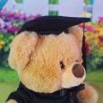Graduation Bear with Personalised Badge Eco Bear