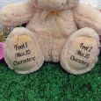 100th Personalised Teddy Bear 30cm Cream