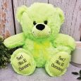 Personalised 16th Teddy Bear Lime Plush 30cm
