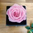 Eternal Pink Rose Memorial Jewellery Gift Box