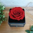 Eternal Red Rose Flower Girl Jewellery Gift Box