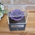 Get Well Rose Jewellery Gift Box Lavender