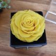 16th Birthday Yellow Eternal Rose Jewellery Gift Box