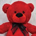 16th Birthday Bear 40cm Red with Black Ribbon