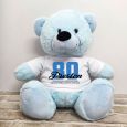 80th Birthday Personalised Bear with T-Shirt - Light Blue 40cm