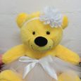 13th Birthday  Ballerina Teddy Bear 40cm Plush Yellow