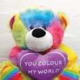 You Colour My World Rainbow Bear