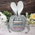 Personalised Easter Bunny Velvet Gift Bag - Steel