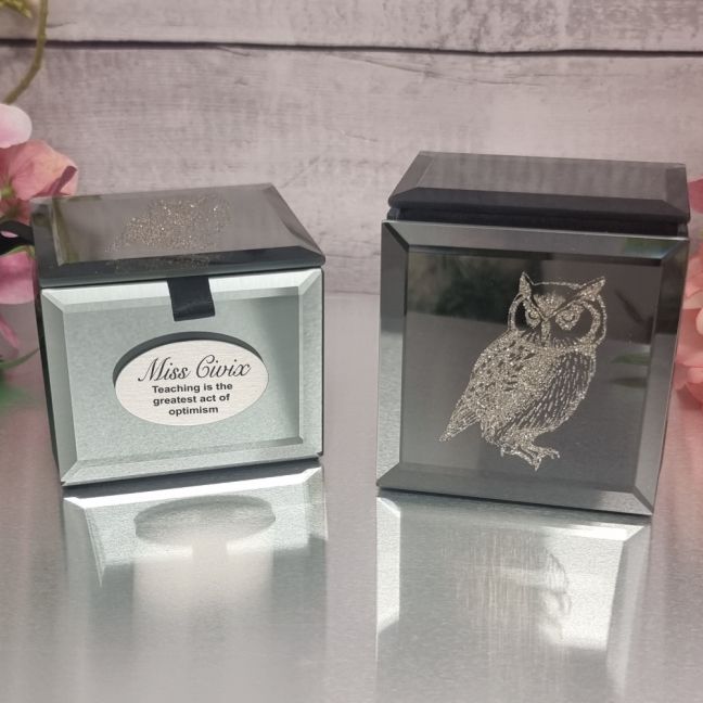 Personalised Teacher Mini Trinket Box - Owl