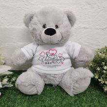 Happy Valentines Day Bear Grey Plush 30cm