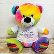 Personalised Memory Teddy Bear 40cm Rainbow