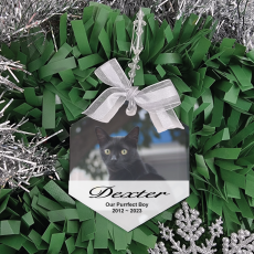 Pet Memorial Frosted Christmas Ornament
